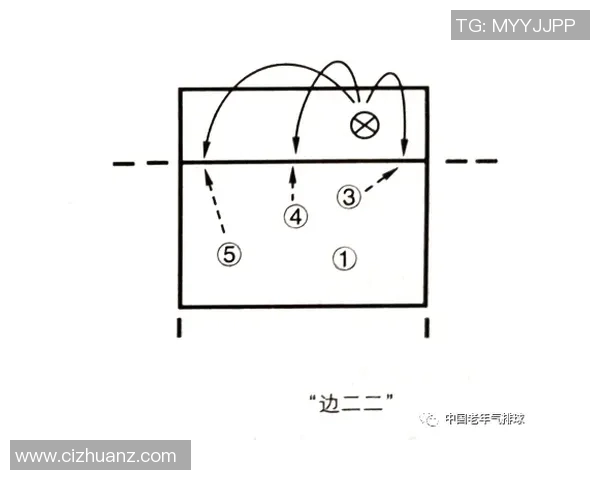 南京排球队整体压制战术解析与赛季表现的深度剖析