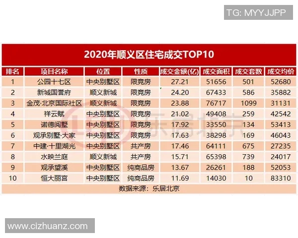 广州排球队意识排名创新高展现团队实力与战术智慧