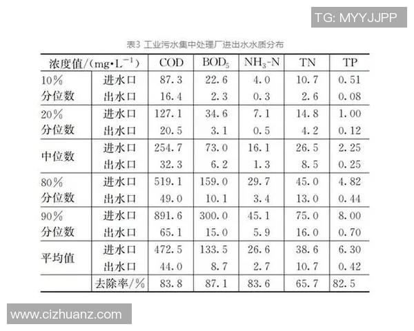 环保用语与其深刻含义的对比分析与解读