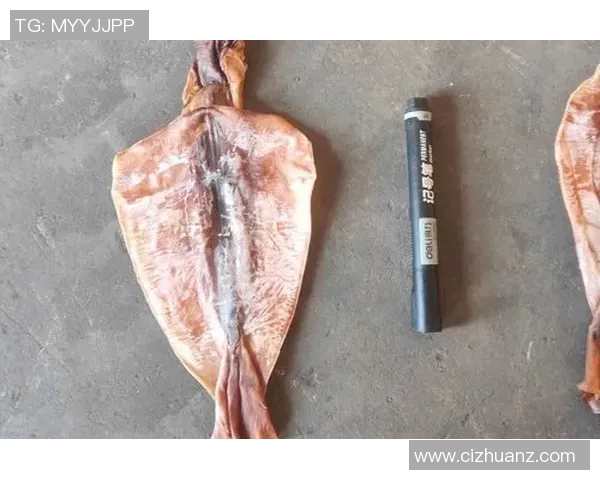 阿根廷与秘鲁比赛结果分析及未来走势预测