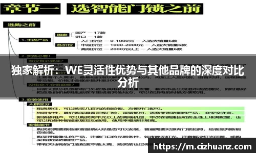独家解析：WE灵活性优势与其他品牌的深度对比分析